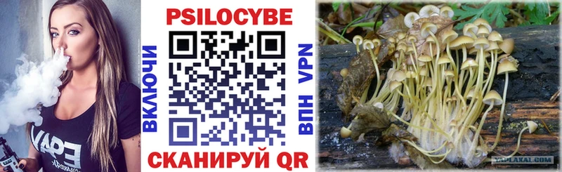 Купить где  Светлогорск  Псилоцибиновые грибы MAGIC MUSHROOMS 
